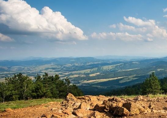 Divčibare, planinska oaza za odmor tokom cele godine